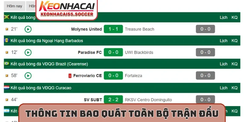 Thông tin bao quát toàn bộ trận đấu